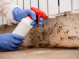 Best Environmental Consulting for Mold Prevention  in USA